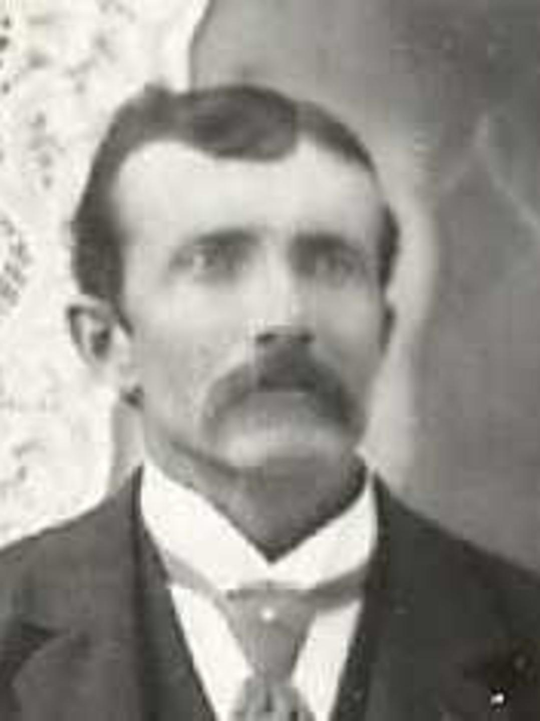 Nevin Macfarlane (1854 - 1915) Profile